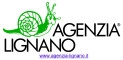 Logo agenzia immobiliare